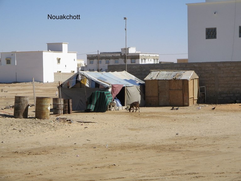 Ferme dans la ville Nouakchott 
